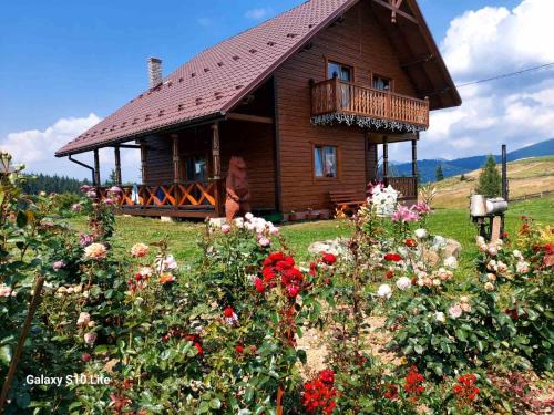 Vorokhta Apartamento | Карпатська Модринка