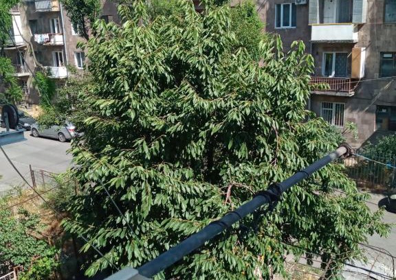 Arabkir Apartamento | Квартира для семьи