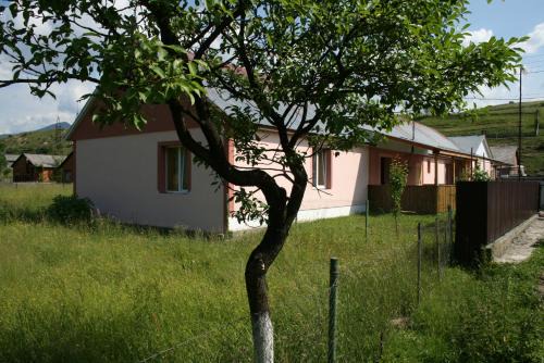 Soymy Casa | Котедж Ялівець