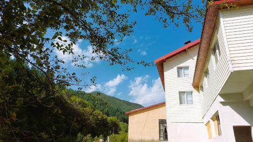 Banite Casa | Къща за гости ДАП Баните