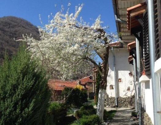 Simitli Casa | Къща за гости Спасителна