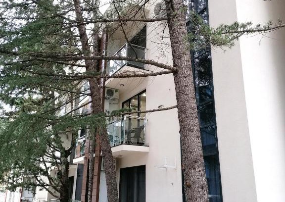 Golubye Dali Apartamento | Мадрид Парк 2 - "Видный" Апартаменты Сочи Адлер Курортный городок