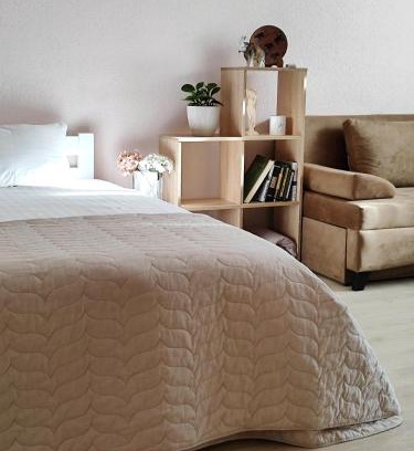 Desnyans'kyi District Apartamento | Однокімнатна на Троєщині