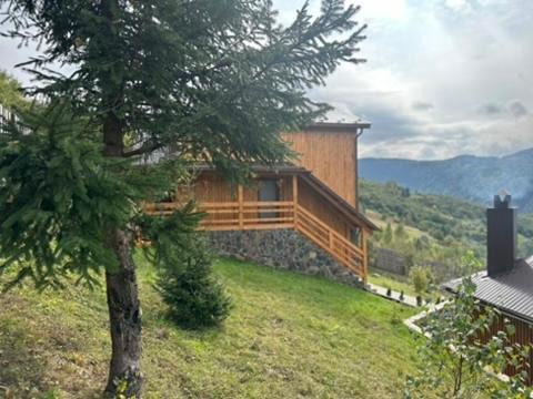 Rakhiv Villa | Садиба Трембіта з сауною та чаном