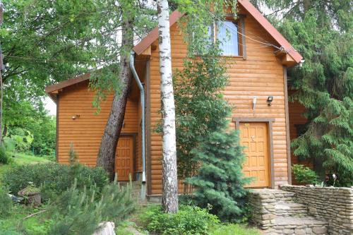 Nizhneye Sinevidnoye Casa | Садиба У Романа 'корпус із сауною'