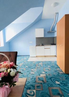 Uzhhorod Apartamento | Червона Ружа