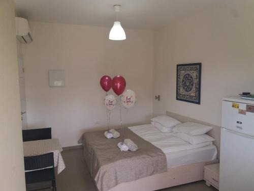 Qatsrin Casa | צימר חספין