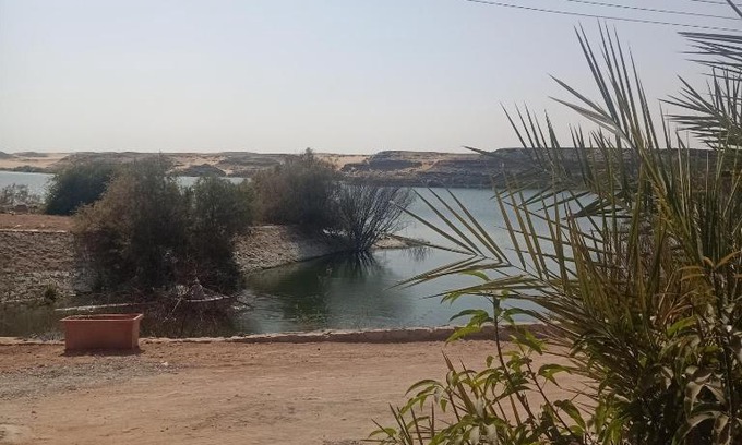 Abu Simbel Cama Y Desayuno | آمون ابوسمبل