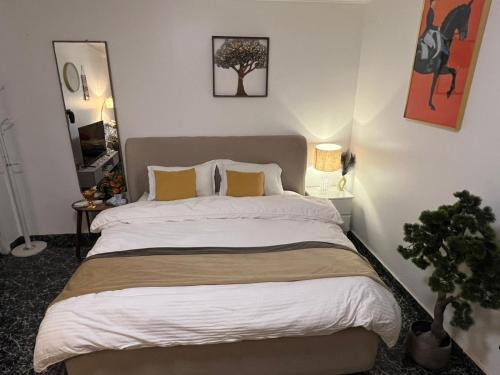 Shaqra Apartamento | اســتديو فـــخمة