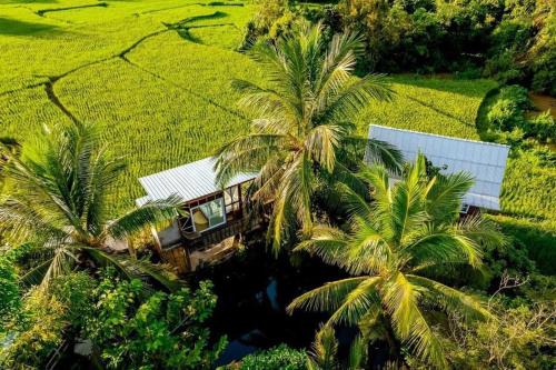 Nan Casa | ต้งโฮมสเตย์ กลางทุ่งนา Local Homestay and View