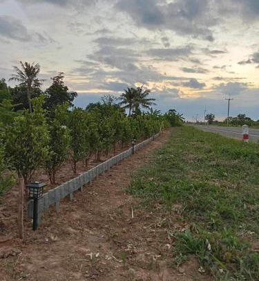 Buriram Otro | ทุ่งนาแคมป์ปิ้ง Countryside