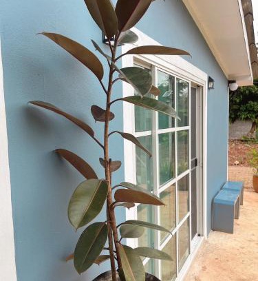 Thong Pha Phum Casa | บ้านพอดีโฮมสเตย์ทองผาภูมิ -กาญจนบุรี
