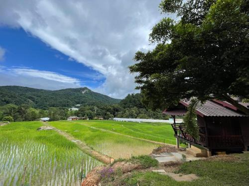 Ban Luang Casa | บ้านพักเคียงนา