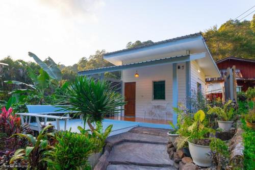 Doi Saket Casa | ปางสูงเฮาส์ pangsung house บ้านกลางดอย