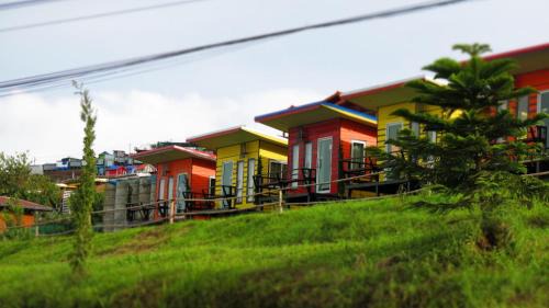 Lom Kao Cabina | ไร่กะหล่ำหวาน ภูทับเบิก