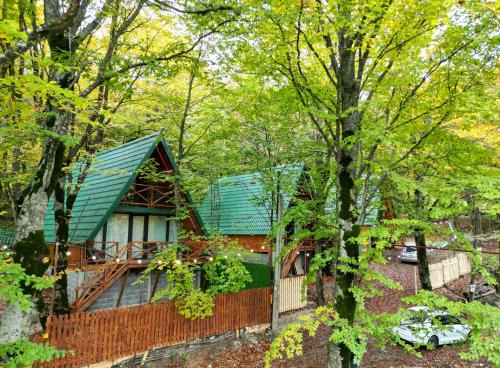 Mtskheta Casa | კოტეჯები ჩრდილში - Cottages in the shade
