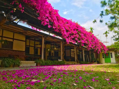 Zhuqi Casa | 嘉義竹崎白樹腳驛棧萬坪生態包棟烤肉親子民宿