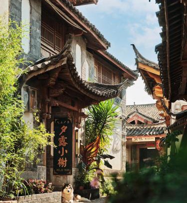 Dayan Old Town Casa | 夕露小榭古城南门店 Xilu Xiaoxie Inn Old Town Lijiang