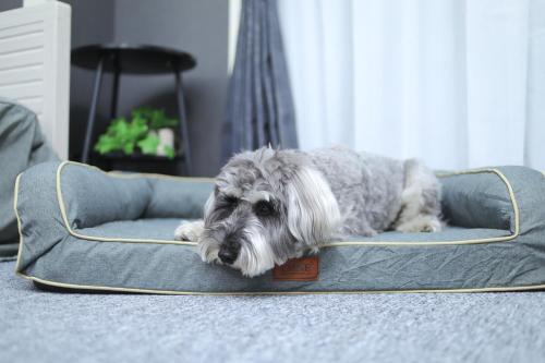 Chuo Ward Apartamento | 新潟駅から徒歩7分 ペットと泊まれる宿 DoggoInn Niigata503
