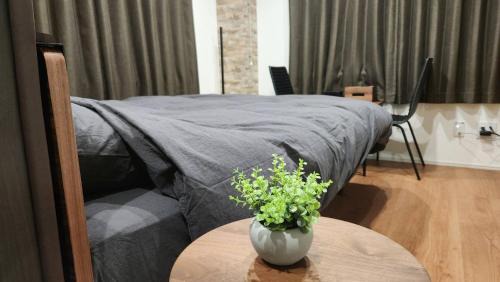 Hirooka Apartamento | 金澤屋Hirooka
