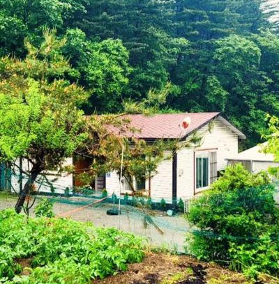 Seorak Apartamento | 숲속 하얀산장