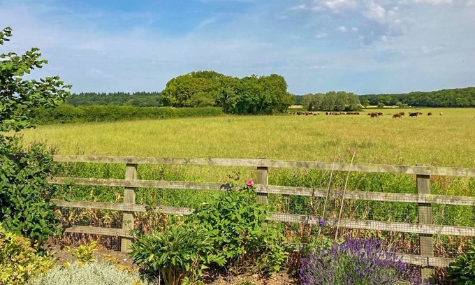 Market Rasen Cabaña | 1 bedroom accommodation in Gautby