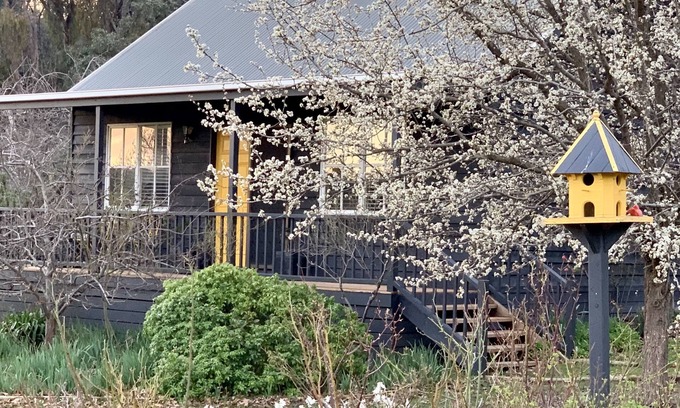 Drummond North Cabaña | 1 bedroom cottage
