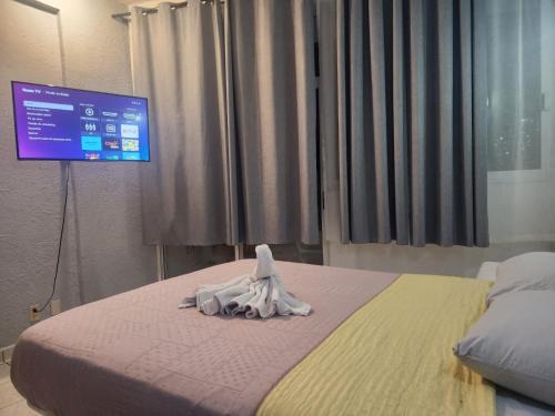 Lazaro Cardenas Apartamento | 1 BR APT with AC , TV , wi-fi near DT and beach