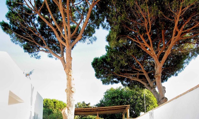 Zahora Casa | [1] Casas Palma Pino 1