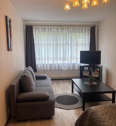 Klaipeda Apartamento | 1 room apartment in Statybininku pr.
