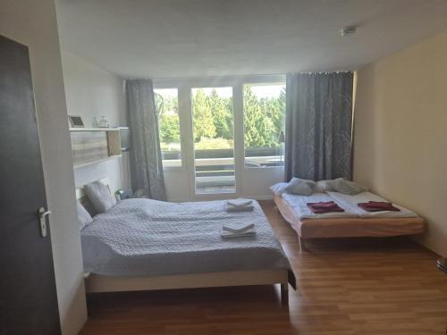Sankt Englmar Apartamento | 1-Zimmer-Apartment mit Balkon, kostenloser Schwimmbadnutzung und Blick ins Grüne