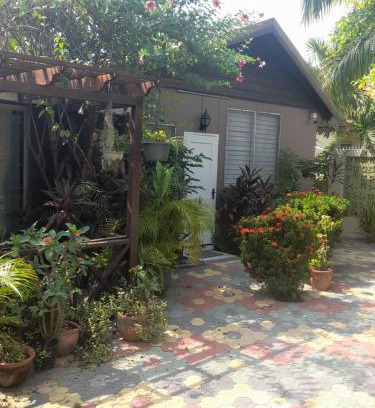 New Kingston Apartamento | 11 Glenhope Avenue