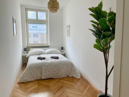 Favoriten Apartamento | 110m2 Stylish 4 Bedroom Apartment