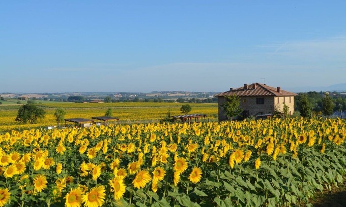 Panicale Apartamento | Casa de piedra del siglo 19 con piscina privada y jardín / 8 personas / acepta mascotas