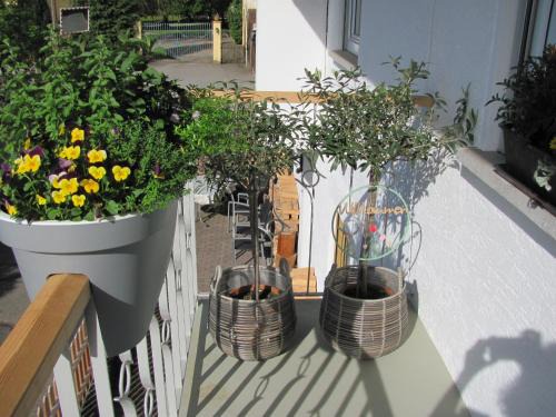 Unterallgau Apartamento | #1Gemütliches ruhiges sonniges Balkonzimmer mit Gemeinschaftsbad W-Lan Airport nah Late Night Check in Haus Nr 9,5