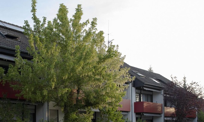 Bad Bergzabern Apartamento | Apartamento de 2 camas 31m² - Haus Tannenhof