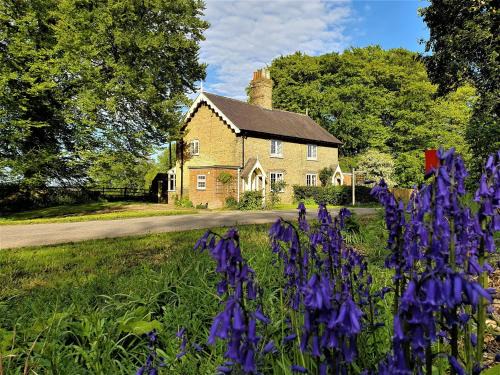 Alford Casa | 2 Bed in Alford 77637