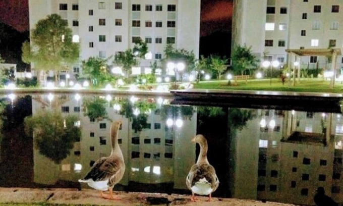 Pinheirinho Apartamento | En el centro de la ciudad.