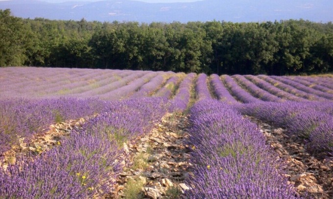 Saignon Casa | 2 Bedroom Private vacation home in Saignon