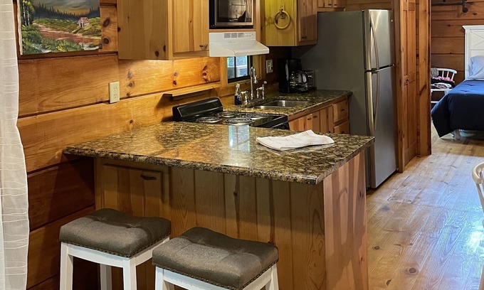 Saluda Cabina | 2 Cozy quiet nestled cabin w/ hot tub, firepit and waterfall in Saluda, NC