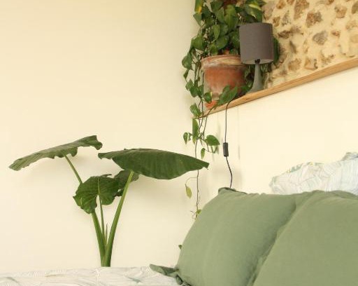Bonnut Casa | 2 Gites 4 étoiles pour 2 à 4 personnes et jusqu'à 10 personnes, entre Béarn, Pays basque et Chalosse