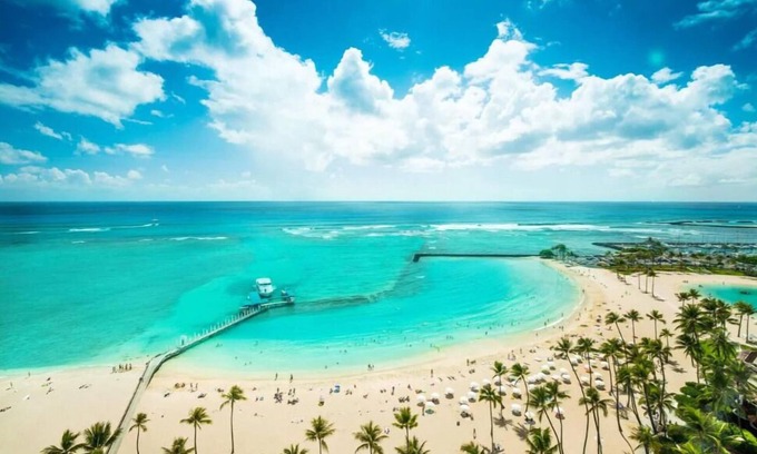 Waikiki Complejo | 2 Hilton Grand Vacation Club Hawiaan Village Resort, Beachfront