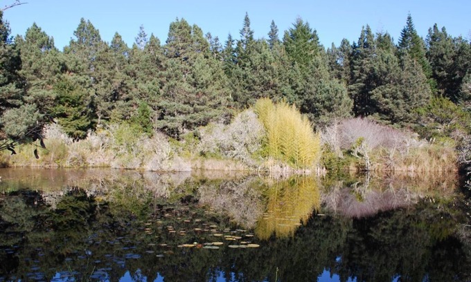 Mendocino Cabaña | 2 Seperate Cottages on 50 + acre Mendocino Tranquility Meadows Nature Sanctuary