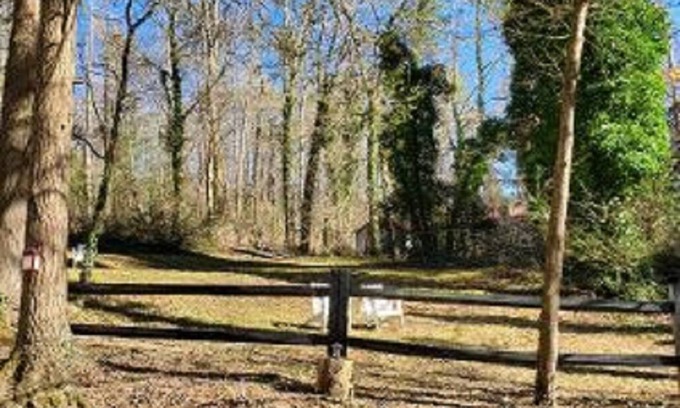 Mountain City Casa | 2 story rustic cabin in beautiful Clayton, Georgia!