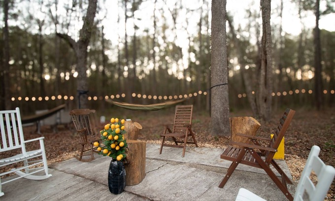 Gainesville Casa | 3/2 UF 5-Acre Wooded Paradise Retreat - Family-Friendly!