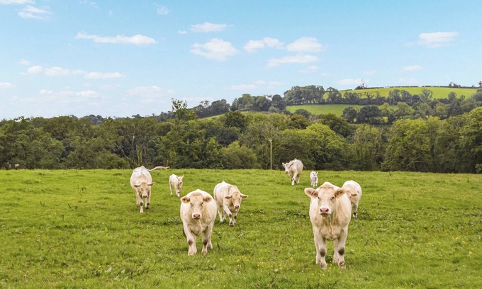Carmarthen Cabaña | 3 bedroom accommodation in Meidrim, near Carmarthen