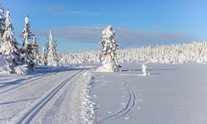 Sjusjoen Casa | Preciosa casa en Sjusjøen con cocina