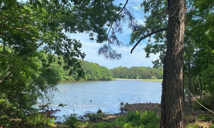 Harbinger Casa | 3 Br/2 Bath Waterfront Vacation Home-Pet Friendly