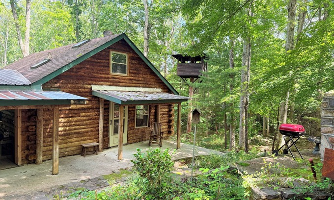 Craig Creek Cabina | 3 BR Log Cabin & 14 acres of private forest; short drive from New Castle and AT