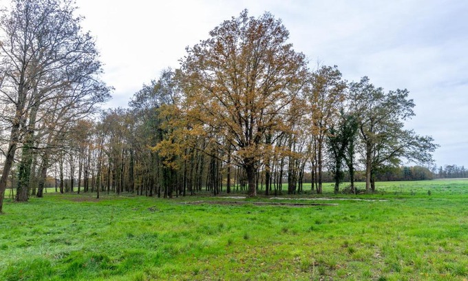 Chemery Casa | 3 ch, 2 salle de bain, 20 min Beauval et Chambord